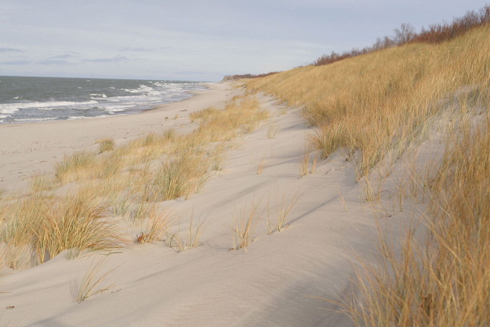 Куршская коса в ноябре