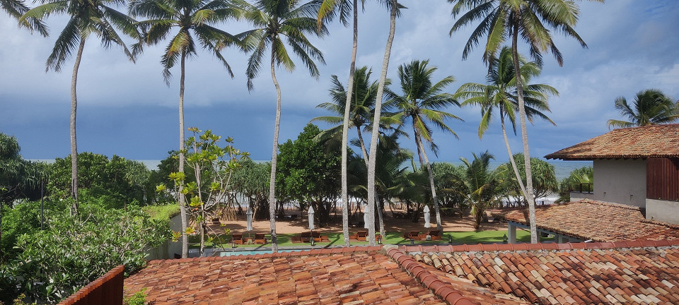 Шри-Ланка из Индии, отзыв3