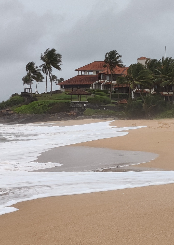 Шри-Ланка из Индии, отзыв5