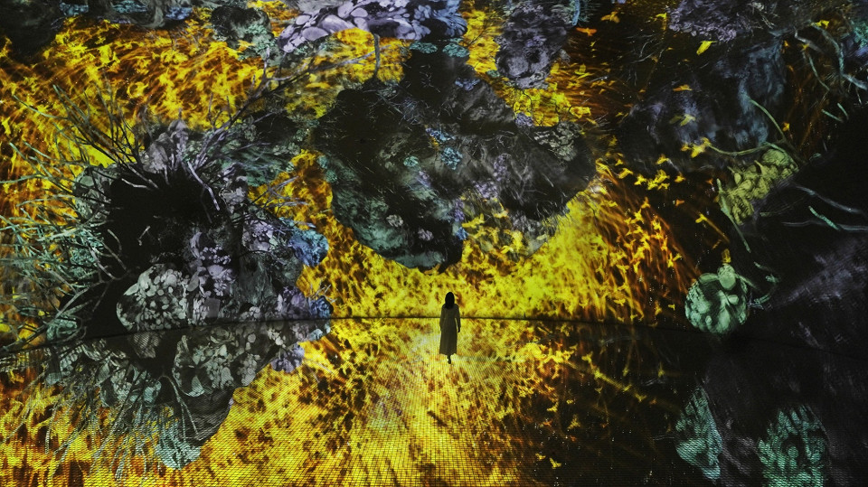 TeamLab Phenomena Абу-Даби