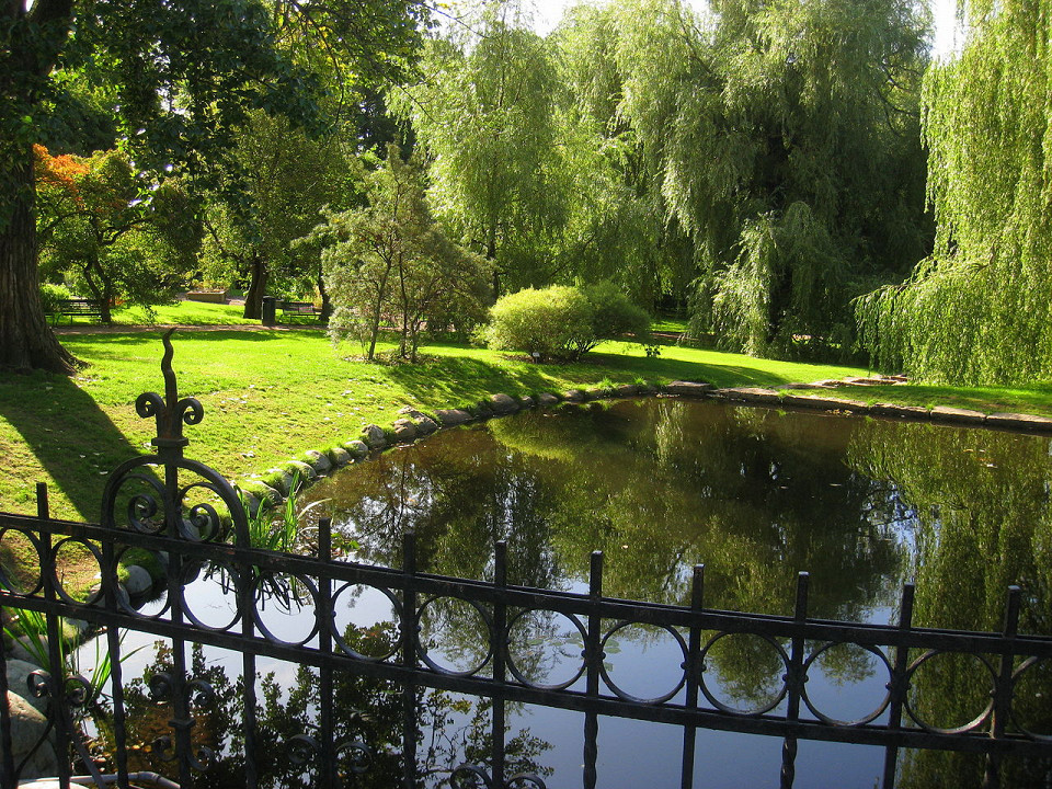 Ботанический сад Осло, пруд