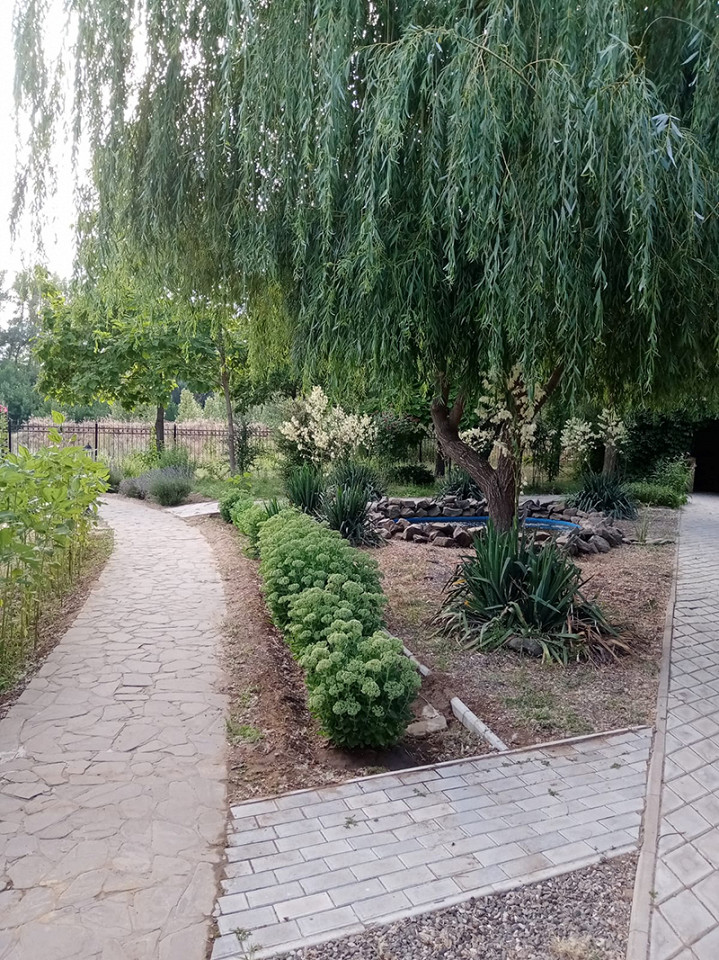 Забил на Турцию14