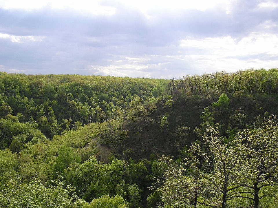  Кумысная поляна, Саратов, Россия