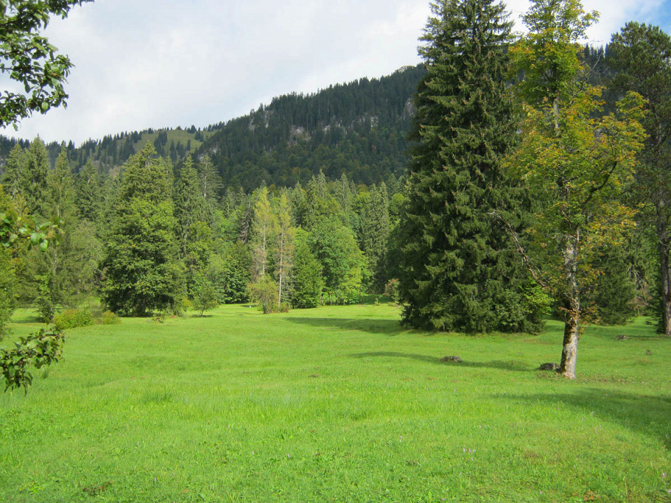 Ухоженные деревья замка Линденхоф, Бавария, Германия