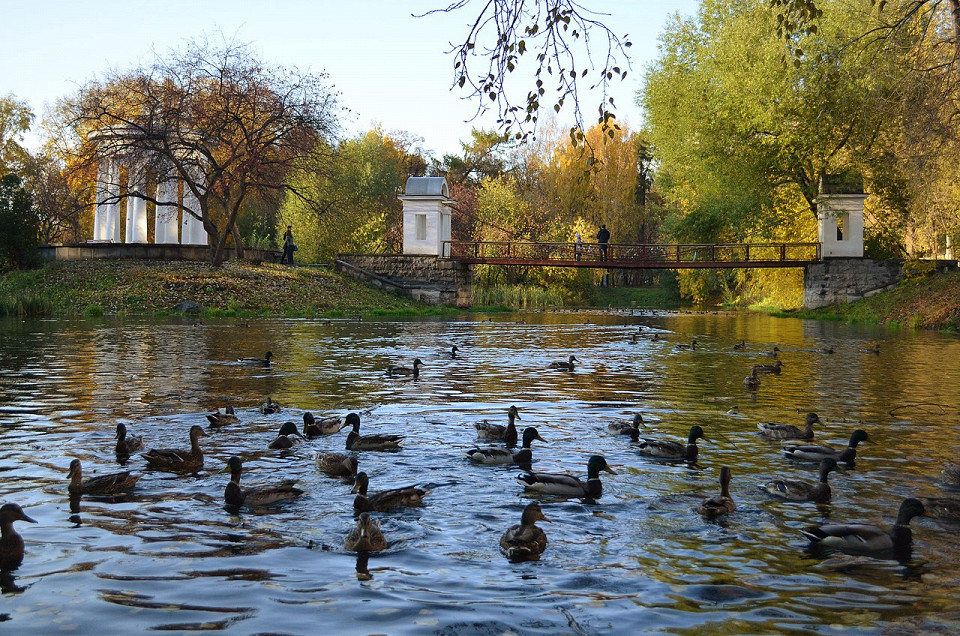 Висячий мост и беседка в парке Харитонова, Екатеринбург