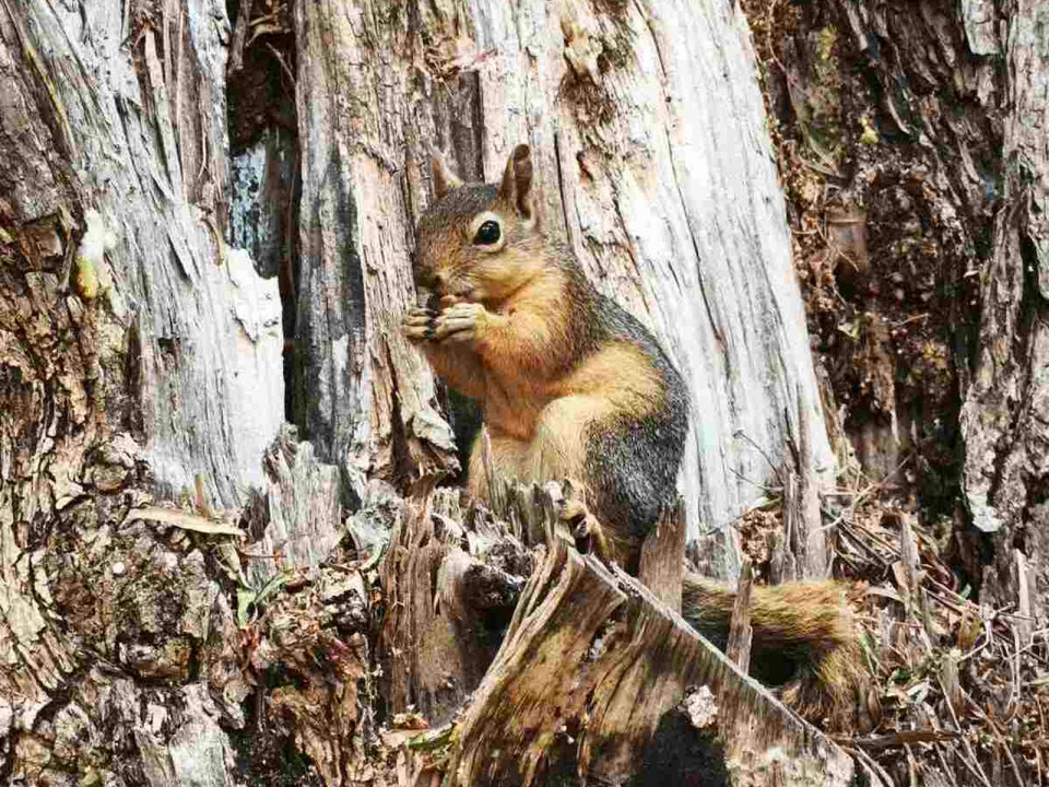Ничто не может быть идеальным: отзыв туриста об отдыхе в Кушадасы 3