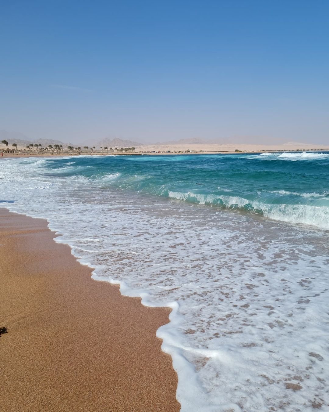 Nabq bay. Набк Шарм-Эль-Шейх. Набк Бэй Египет. Национальный парк Набк. Набк пляжи.