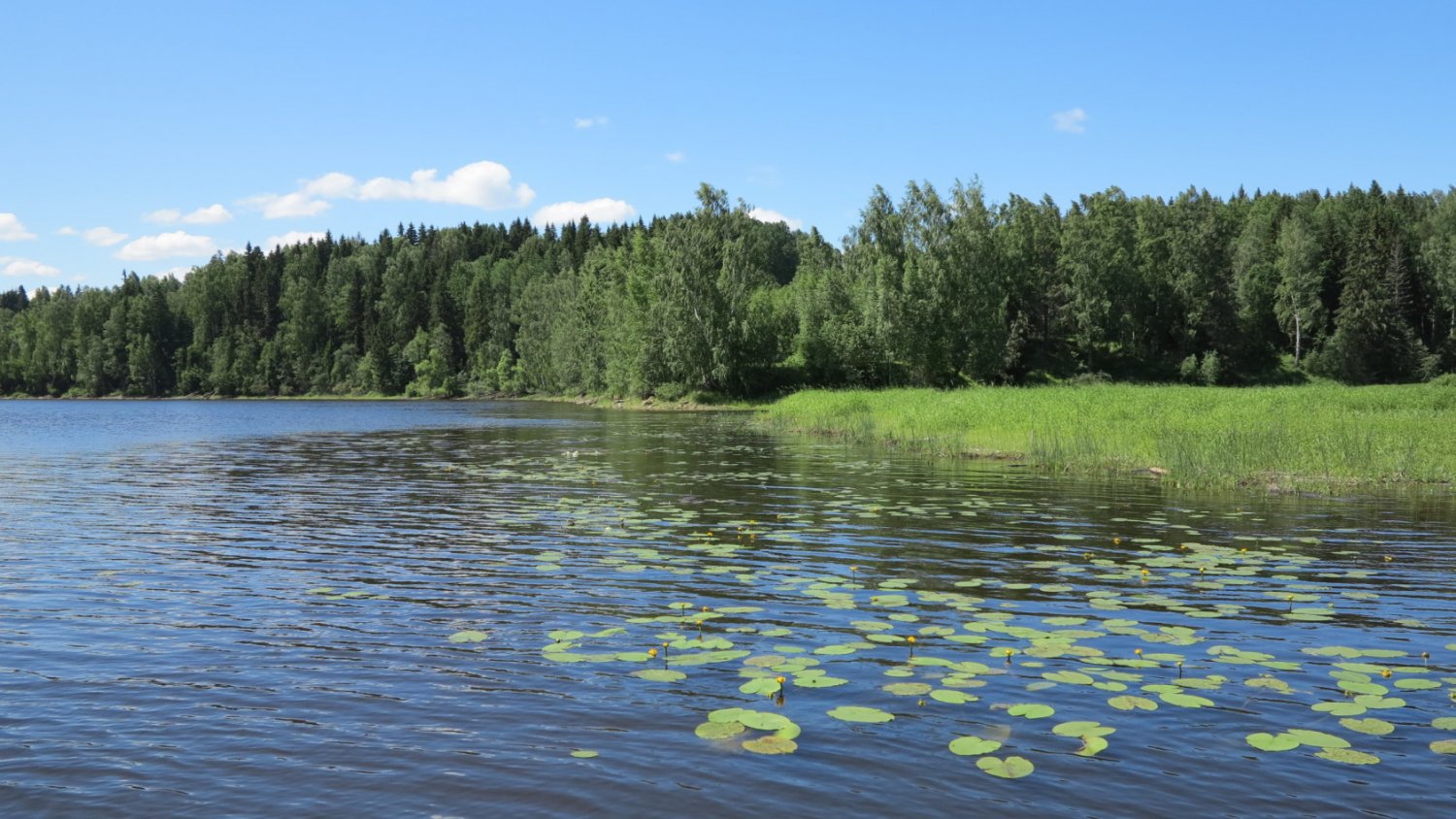 Рыбинское водохранилище: координаты и фото, что посмотреть и где находится  Рыбинское водохранилище