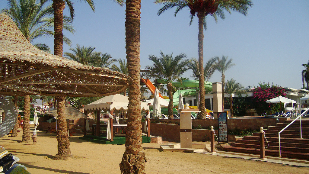 Seti sharm resort 4 отзывы