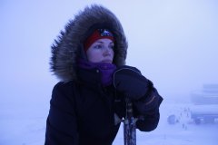 ArcticDiscovery | Фотоохота на китов и тюленей