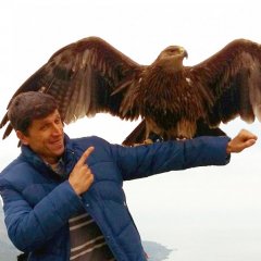 Андрей Зубков
