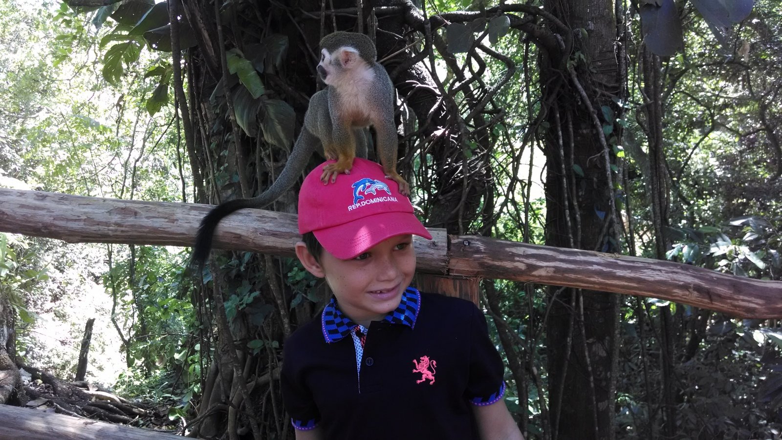 Monkey Jungle and Zip Line Adventures — экскурсия на «Тонкостях туризма»