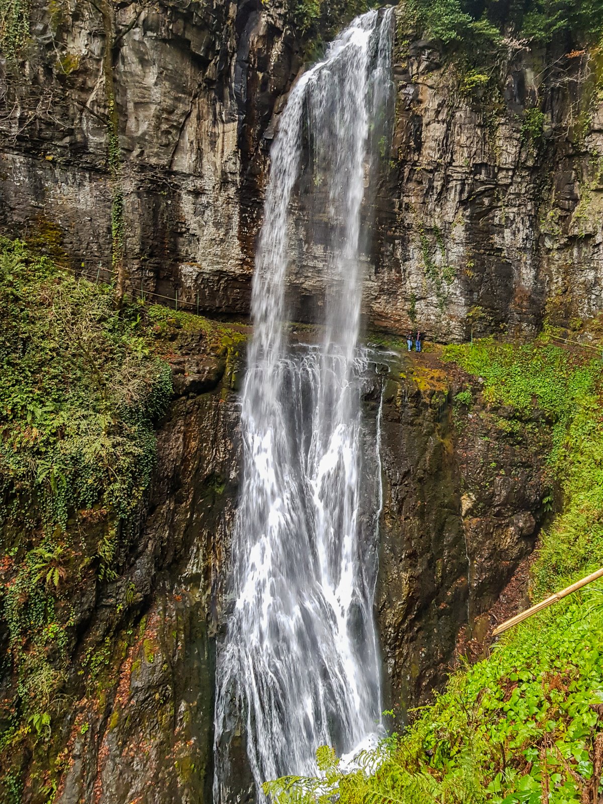 Самые красивые водопады (55 фото)