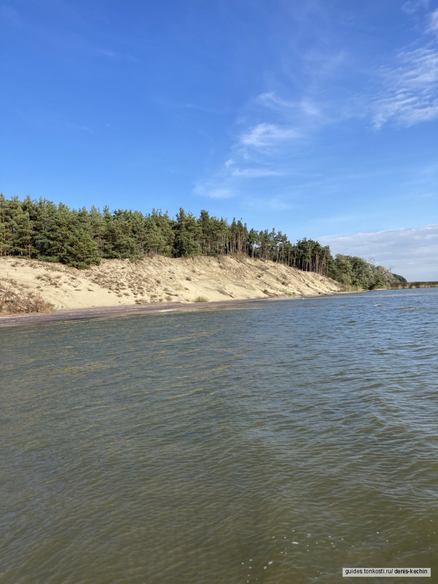 И рыбку съесть и Куршскую косу посмотреть — экскурсия на «Тонкостях ...