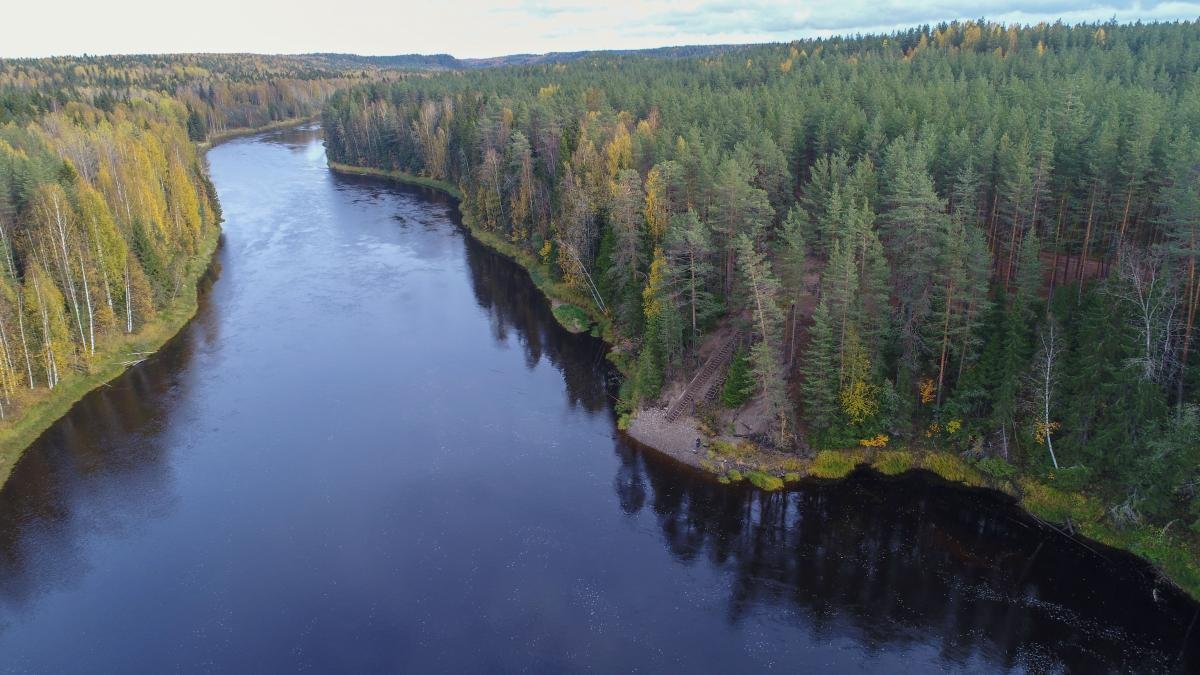 Гора Сампо — курорт Марциальные воды и водопад Кивач — экскурсия на  «Тонкостях туризма»