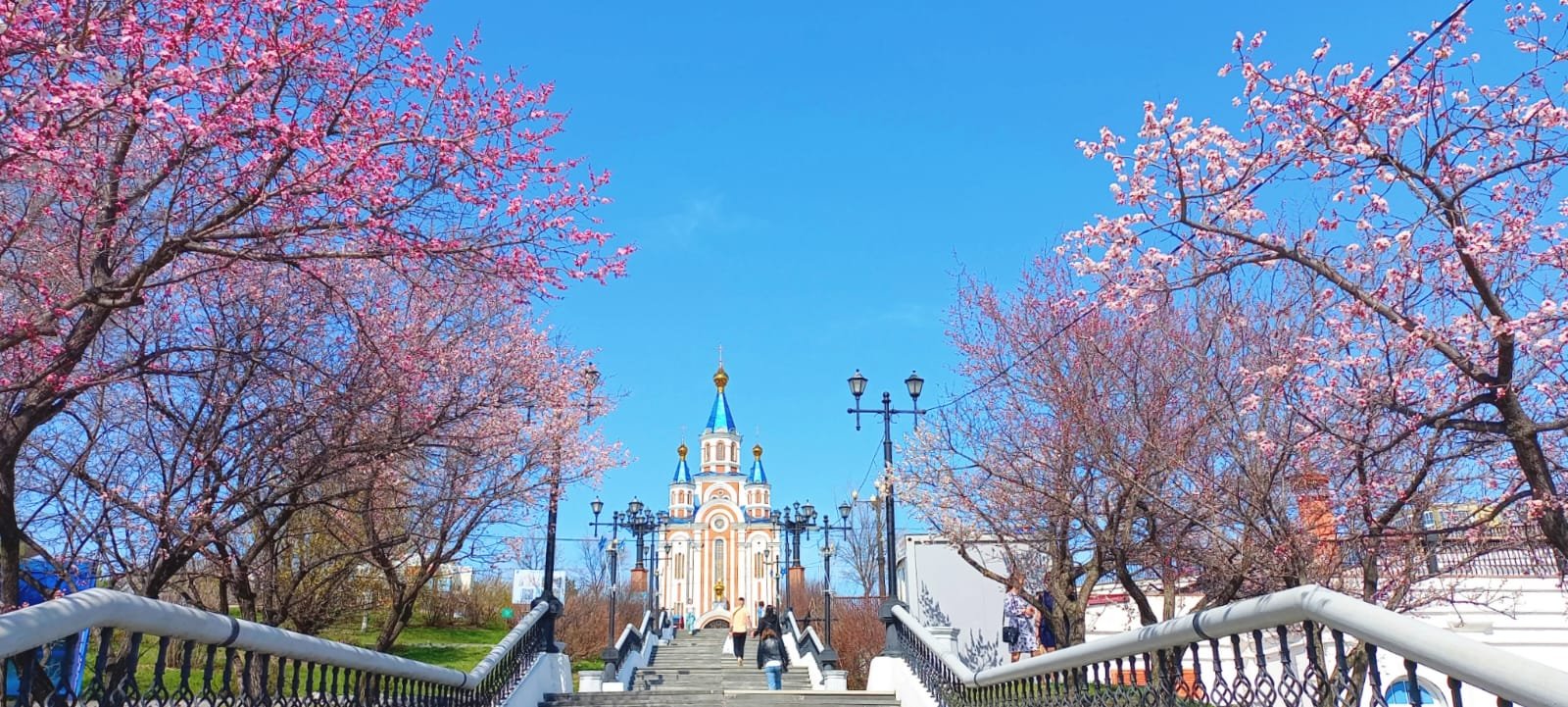 Ваше первое знакомство с Хабаровском — экскурсия на «Тонкостях туризма»