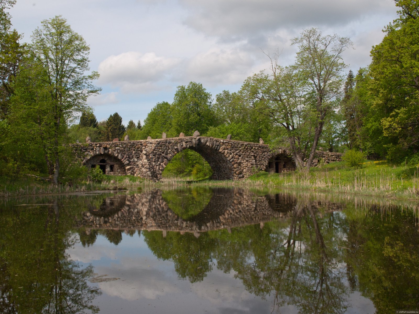 Чертов мост василево торжок. Под торжком. Под торжком. Усадьба василево. Чёртов мост тверская область василёво.