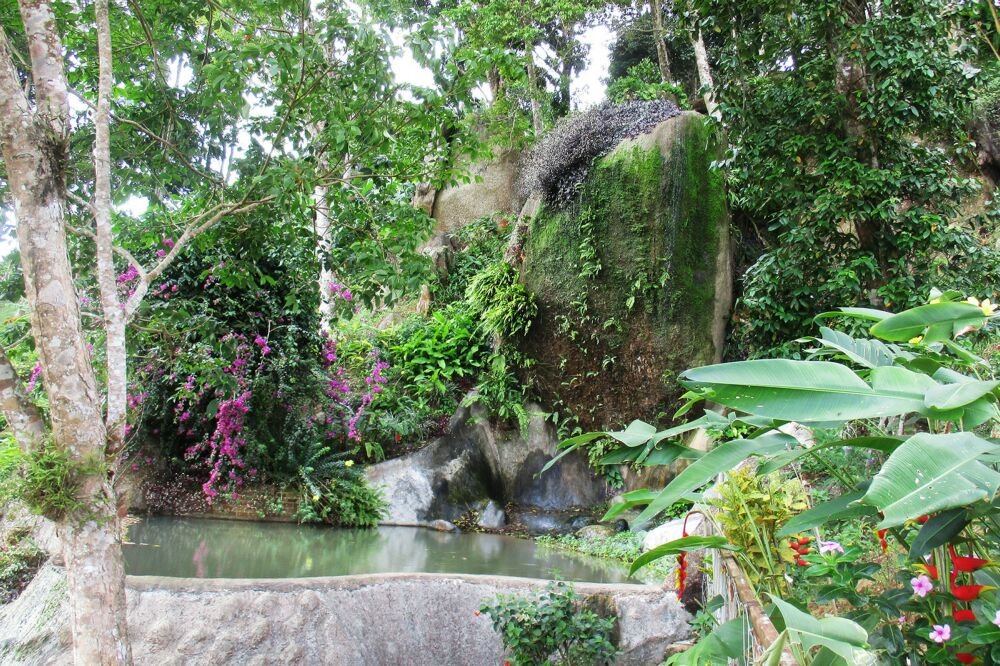 Парк самуи. Paradise Farm Samui. Зоопарк на Самуи. Парк Парадайз. Растения на Самуи.