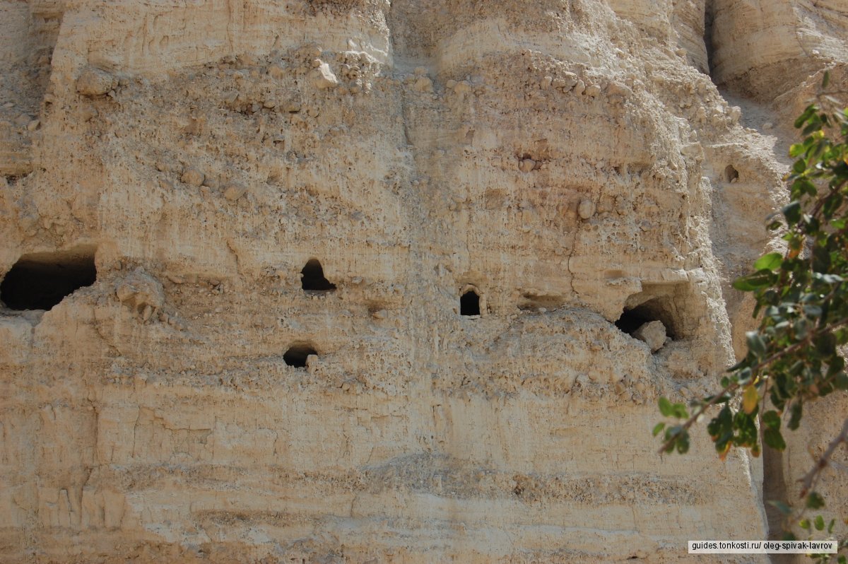 Водопады оазиса Эйн-Геди и отдых на пляже Мертвого моря (на ...