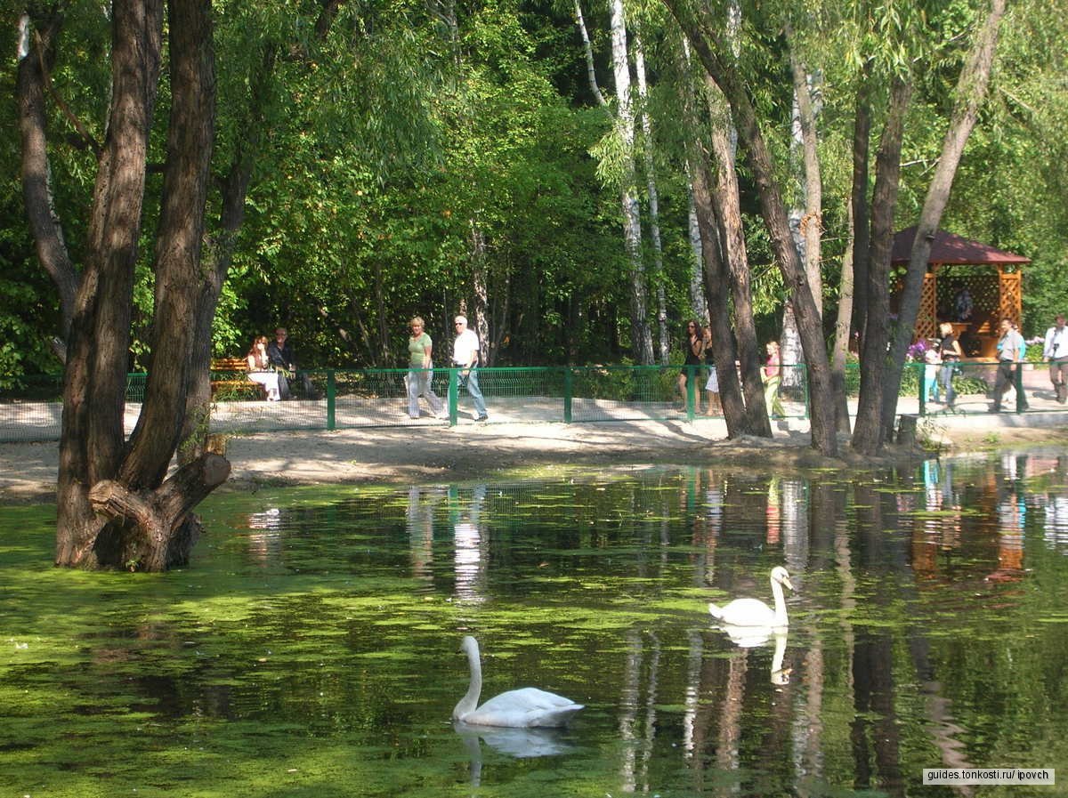 Поездка по детской железной дороге и посещение Новосибирского зоопарка —  экскурсия на «Тонкостях туризма»