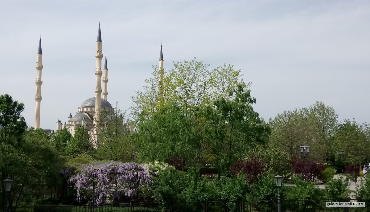 Грозный, Аргун, Шали — экскурсия на «Тонкостях туризма»