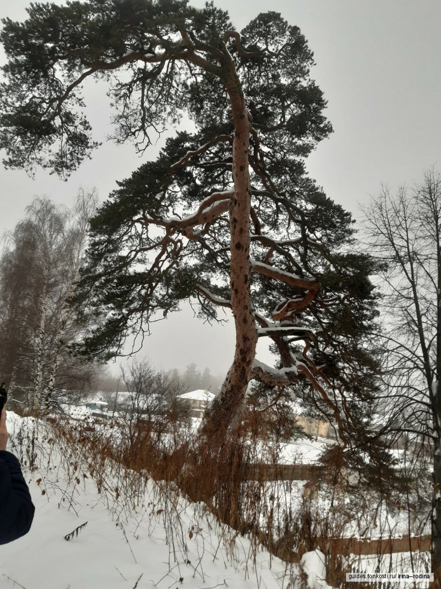 Город-пряник Городец — экскурсия на «Тонкостях туризма»