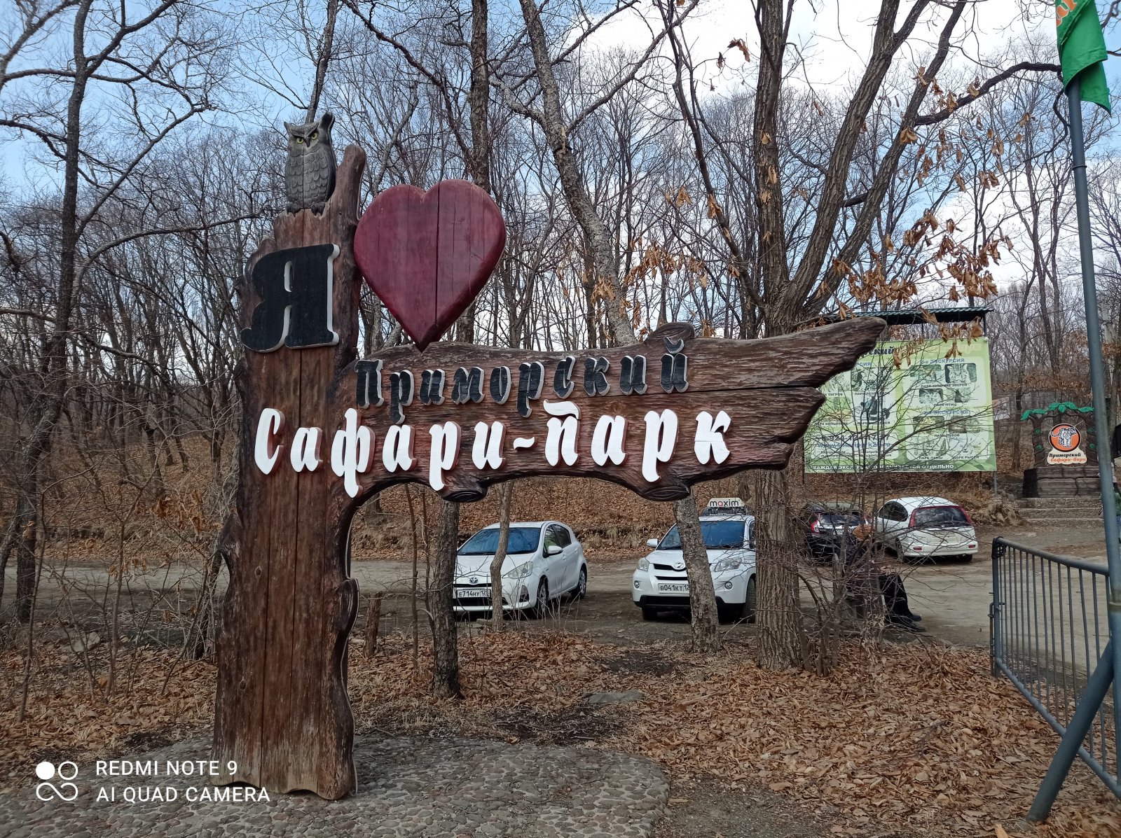 Экскурсия в Приморский сафари-парк, бухту Лазурную и Стеклянную из  Владивостока — экскурсия на «Тонкостях туризма»